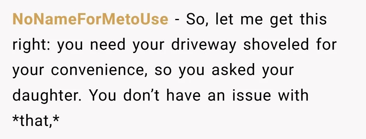 NoNameForMetoUse − So, let me get this right: you need your driveway shoveled for your convenience, so you asked your daughter. You don’t have an issue with *that,*
