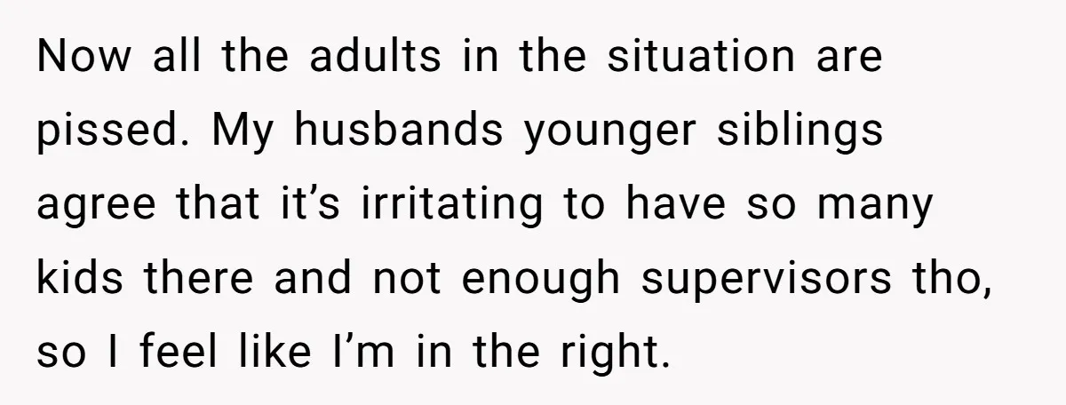 Now all the adults in the situation are pissed. My husbands younger siblings agree that it’s irritating to have so many kids there and not enough supervisors tho, so I...
