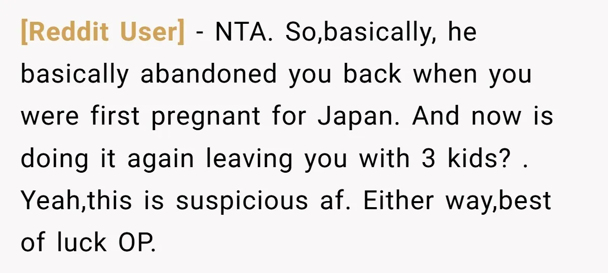 [Reddit User] − NTA. So,basically, he basically abandoned you back when you were first pregnant for Japan. And now is doing it again leaving you with 3 kids? . Yeah,this...