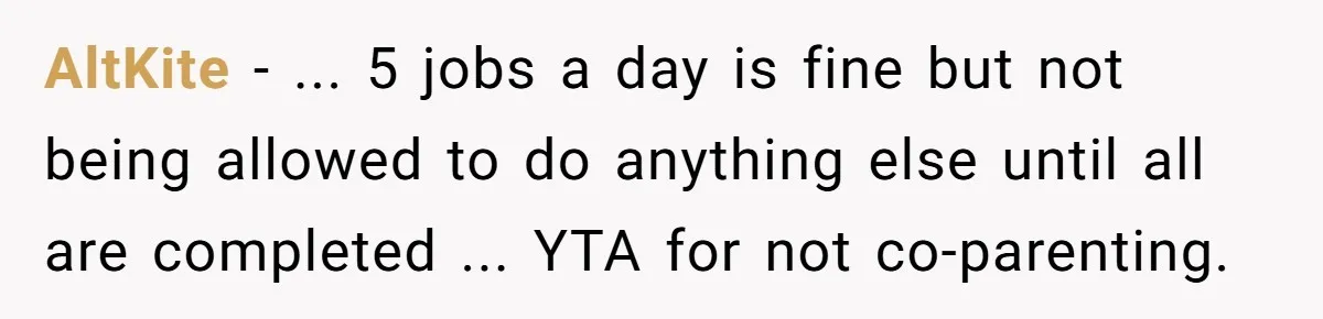 AltKite − ... 5 jobs a day is fine but not being allowed to do anything else until all are completed ... YTA for not co-parenting.