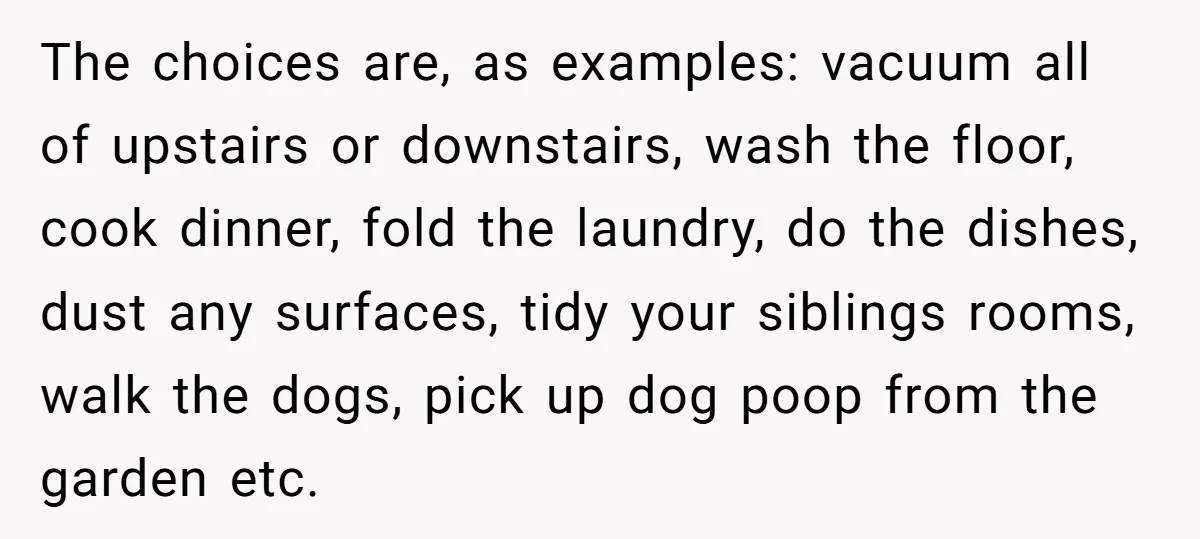 The choices are, as examples: vacuum all of upstairs or downstairs, wash the floor, cook dinner, fold the laundry, do the dishes, dust any surfaces, tidy your siblings rooms, walk...