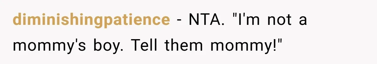 diminishingpatience − NTA. "I'm not a mommy's boy. Tell them mommy!"