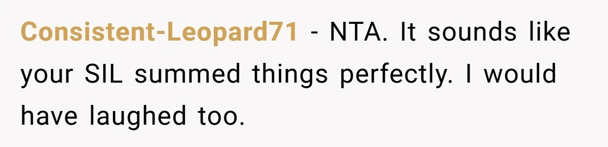 Consistent-Leopard71 − NTA. It sounds like your SIL summed things perfectly. I would have laughed too.