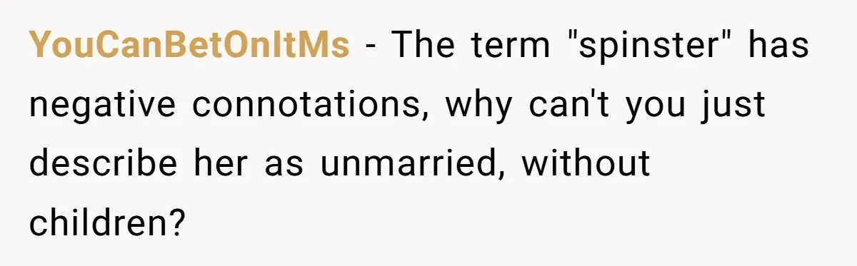 YouCanBetOnItMs − The term "spinster" has negative connotations, why can't you just describe her as unmarried, without children?
