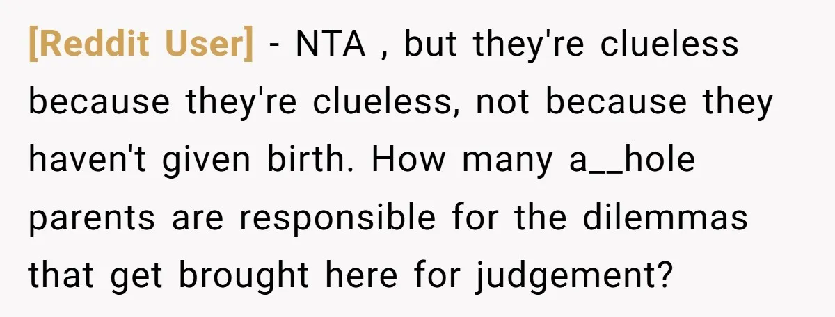 [Reddit User] − NTA , but they're clueless because they're clueless, not because they haven't given birth. How many a__hole parents are responsible for the dilemmas that get brought here...