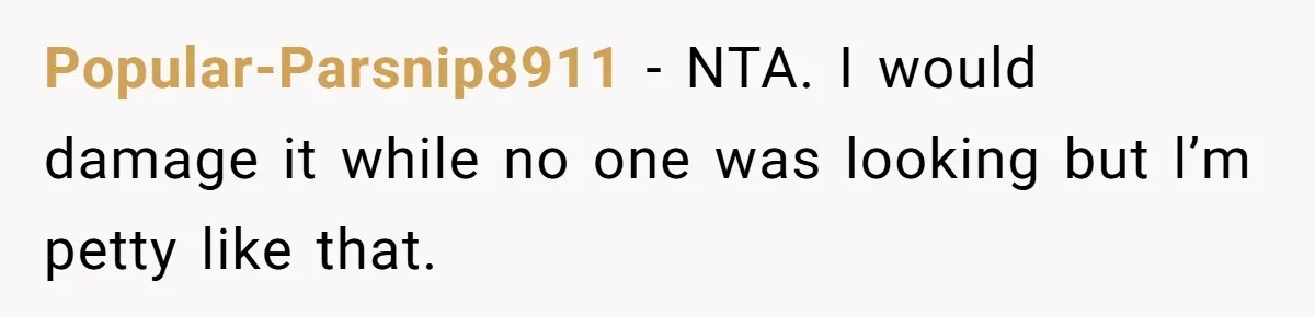 Popular-Parsnip8911 − NTA. I would damage it while no one was looking but l’m petty like that.