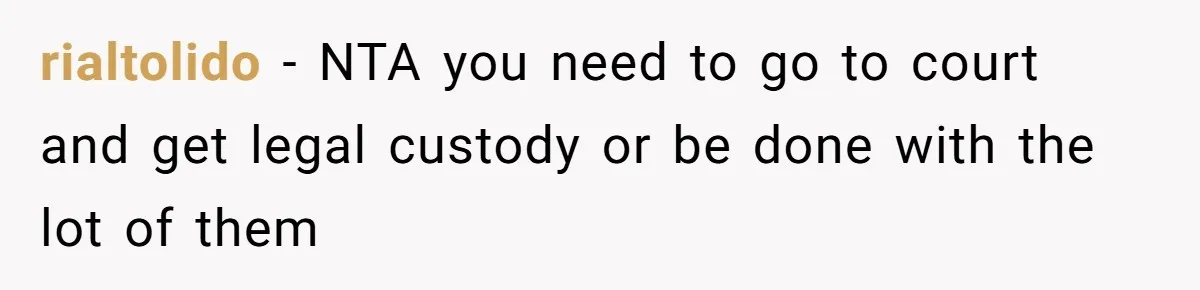 rialtolido − NTA you need to go to court and get legal custody or be done with the lot of them