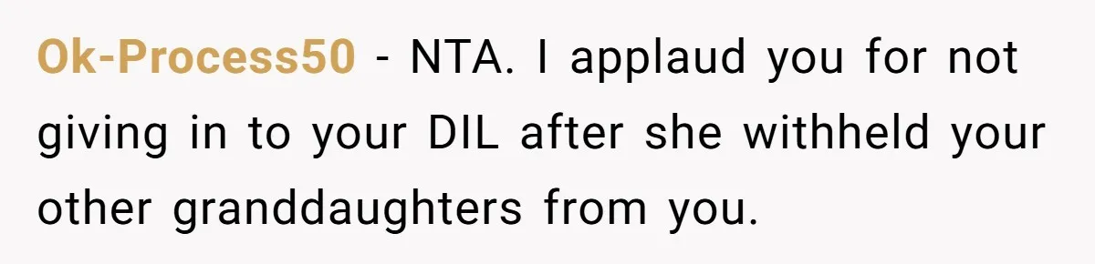 Ok-Process50 − NTA. I applaud you for not giving in to your DIL after she withheld your other granddaughters from you.