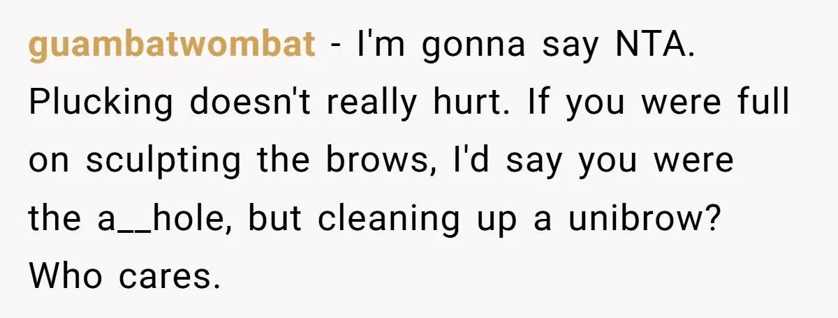guambatwombat − I'm gonna say NTA. Plucking doesn't really hurt. If you were full on sculpting the brows, I'd say you were the a__hole, but cleaning up a unibrow? Who...