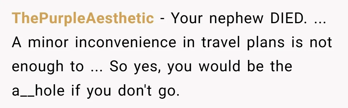ThePurpleAesthetic − Your nephew DIED. ... A minor inconvenience in travel plans is not enough to ... So yes, you would be the a__hole if you don't go.