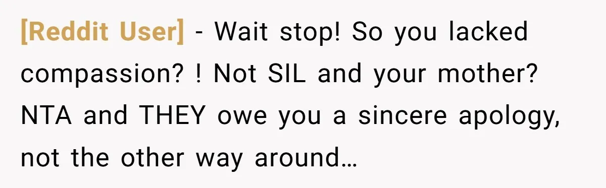 [Reddit User] − Wait stop! So you lacked compassion? ! Not SIL and your mother? NTA and THEY owe you a sincere apology, not the other way around…