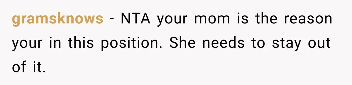 gramsknows − NTA your mom is the reason your in this position. She needs to stay out of it.