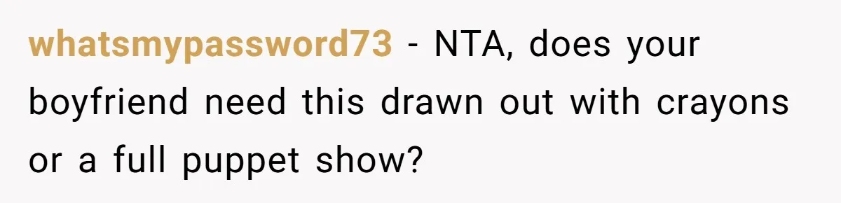whatsmypassword73 − NTA, does your boyfriend need this drawn out with crayons or a full puppet show?