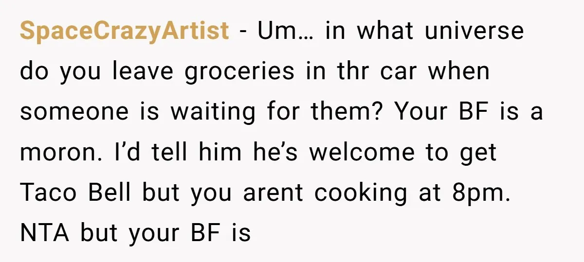 SpaceCrazyArtist − Um… in what universe do you leave groceries in thr car when someone is waiting for them? Your BF is a moron. I’d tell him he’s welcome to...