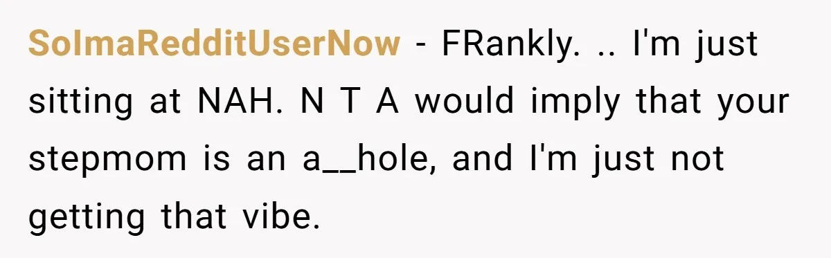 SoImaRedditUserNow − FRankly. .. I'm just sitting at NAH. N T A would imply that your stepmom is an a__hole, and I'm just not getting that vibe.