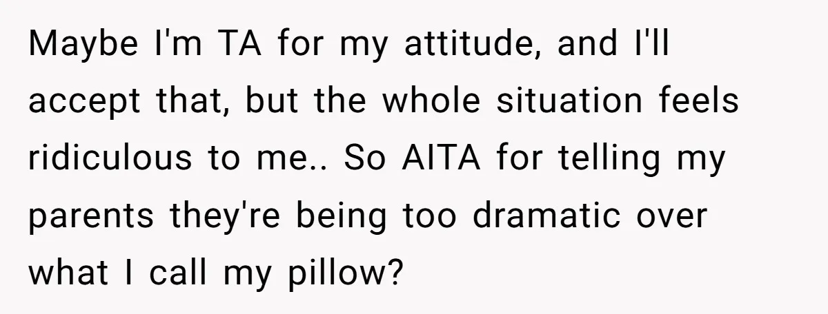 Maybe I'm TA for my attitude, and I'll accept that, but the whole situation feels ridiculous to me.. So AITA for telling my parents they're being too dramatic over what...
