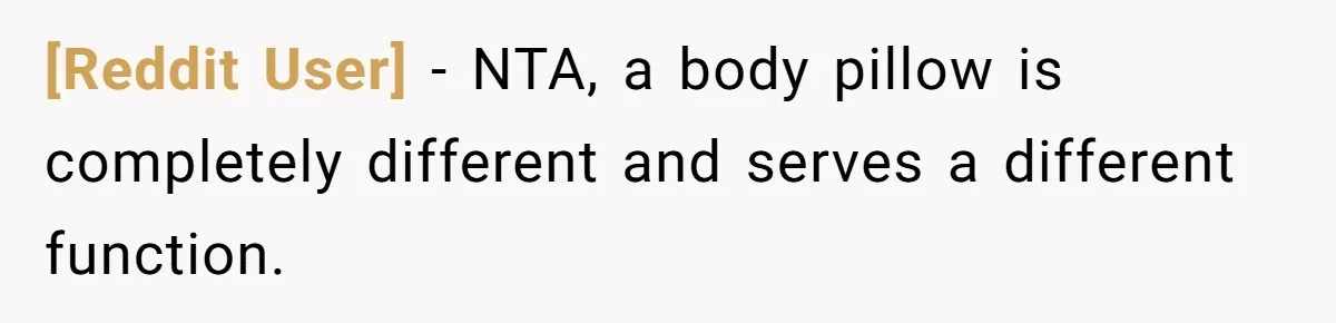 [Reddit User] − NTA, a body pillow is completely different and serves a different function.