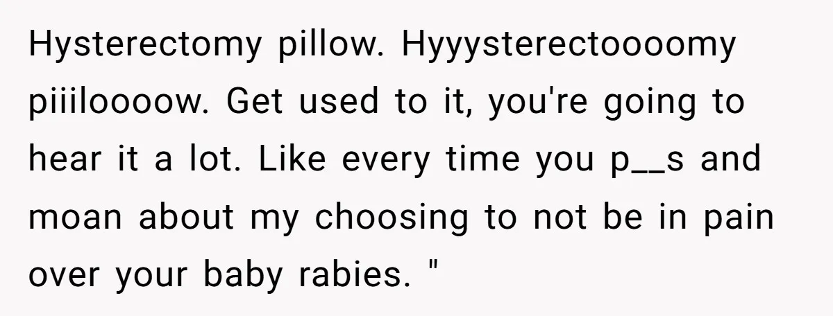 Hysterectomy pillow. Hyyysterectoooomy piiiloooow. Get used to it, you're going to hear it a lot. Like every time you p__s and moan about my choosing to not be in pain...