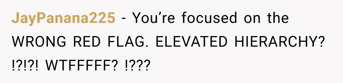 JayPanana225 − You’re focused on the WRONG RED FLAG. ELEVATED HIERARCHY? !?!?! WTFFFFF? !???