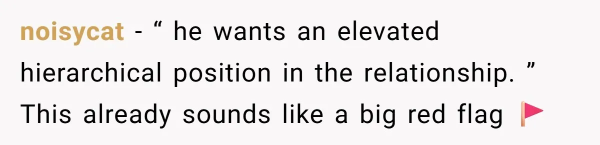 noisycat − “ he wants an elevated hierarchical position in the relationship. ” This already sounds like a big red flag 🚩