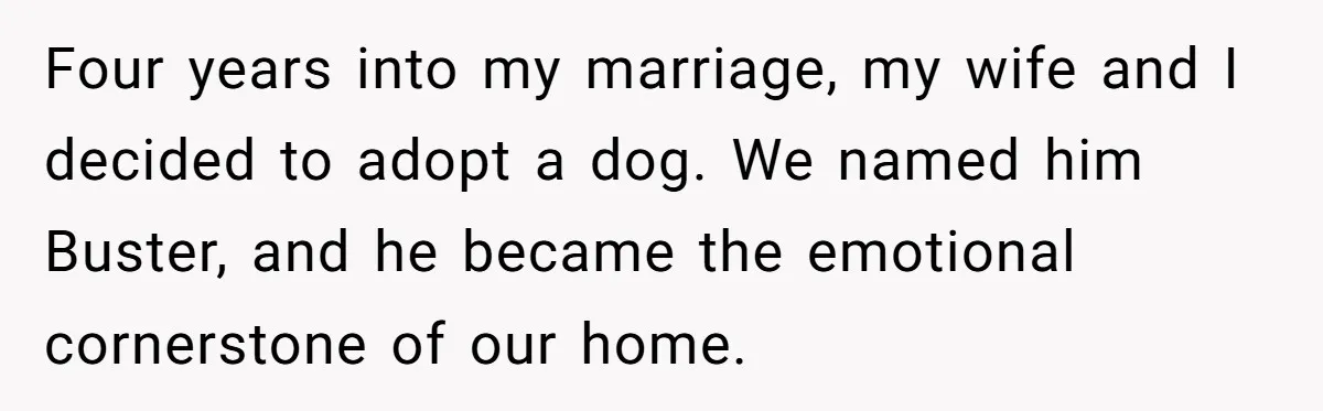 Four years into my marriage, my wife and I decided to adopt a dog. We named him Buster, and he became the emotional cornerstone of our home.