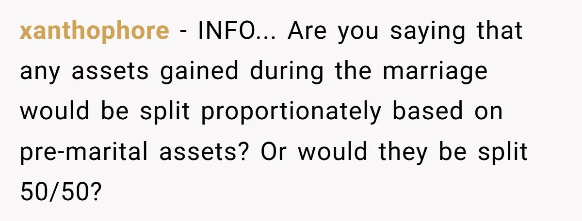 xanthophore − INFO... Are you saying that any assets gained during the marriage would be split proportionately based on pre-marital assets? Or would they be split 50/50?