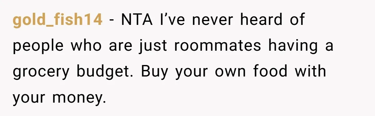 gold_fish14 − NTA I’ve never heard of people who are just roommates having a grocery budget. Buy your own food with your money.