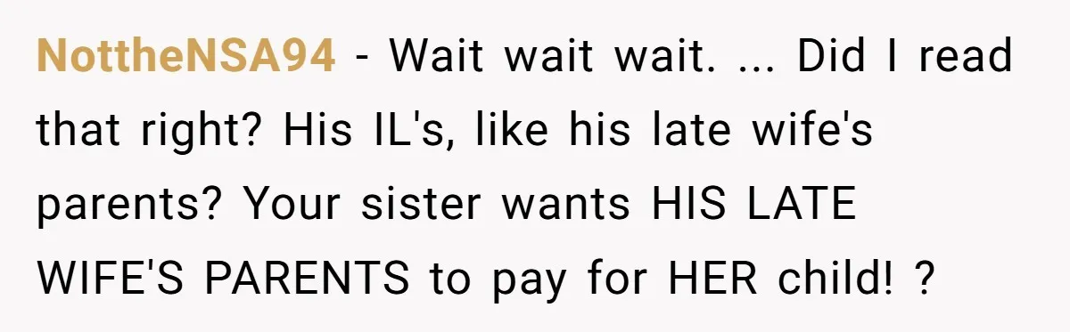 NottheNSA94 − Wait wait wait. ... Did I read that right? His IL's, like his late wife's parents? Your sister wants HIS LATE WIFE'S PARENTS to pay for HER child!...