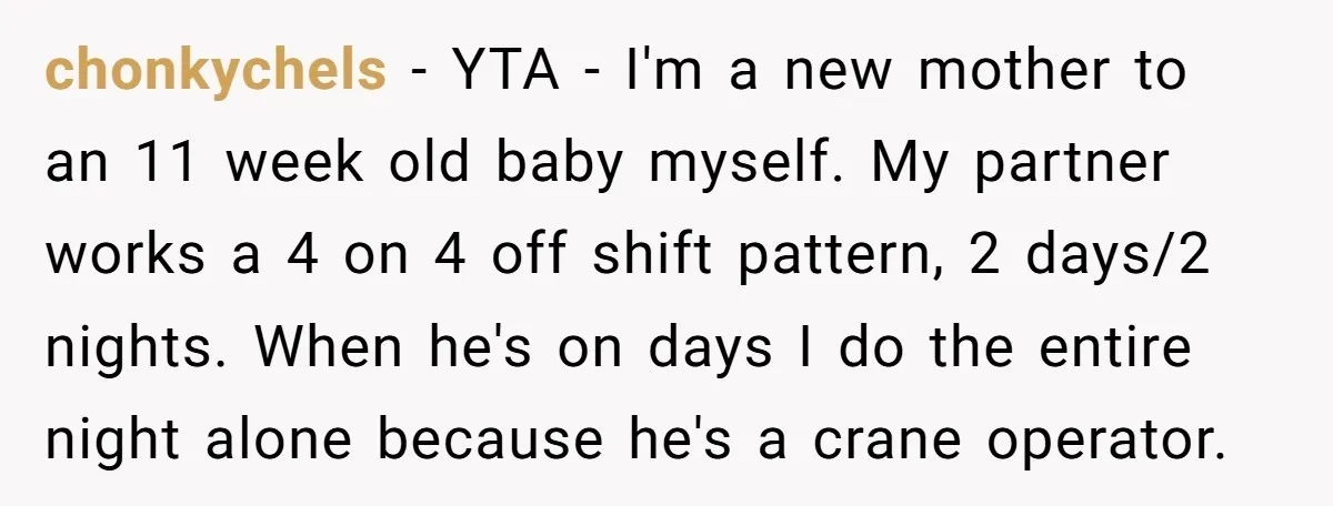 chonkychels − YTA - I'm a new mother to an 11 week old baby myself. My partner works a 4 on 4 off shift pattern, 2 days/2 nights. When he's...