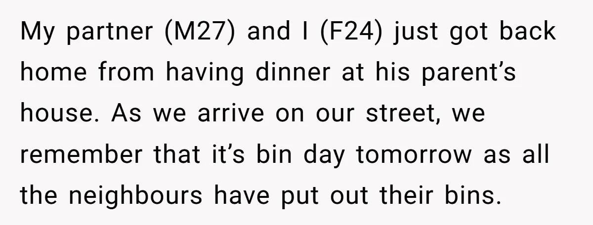 My partner (M27) and I (F24) just got back home from having dinner at his parent’s house. As we arrive on our street, we remember that it’s bin day tomorrow...