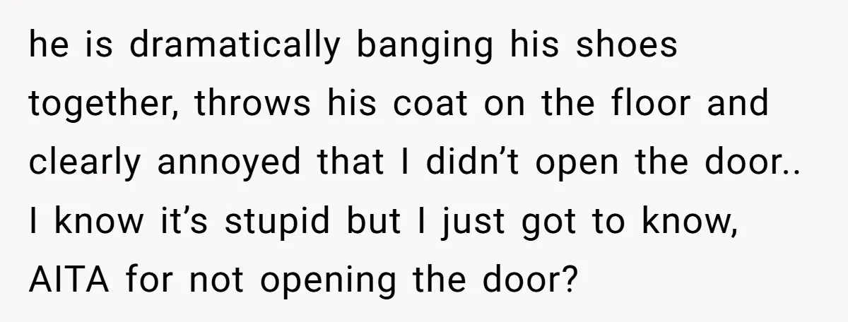 he is dramatically banging his shoes together, throws his coat on the floor and clearly annoyed that I didn’t open the door.. I know it’s stupid but I just got...