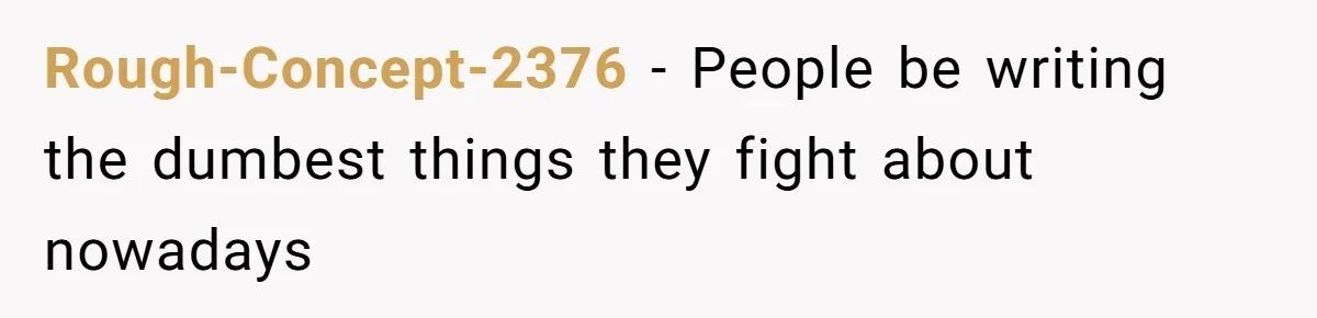 Rough-Concept-2376 − People be writing the dumbest things they fight about nowadays