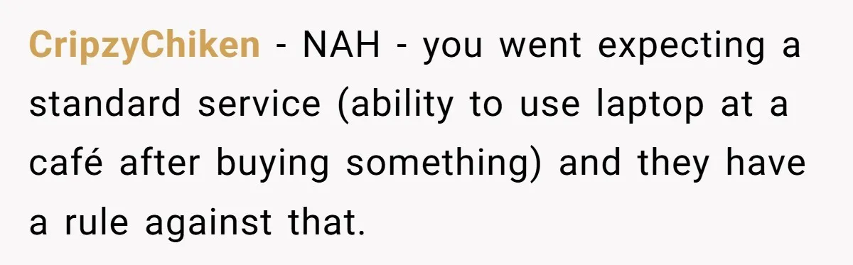 CripzyChiken − NAH - you went expecting a standard service (ability to use laptop at a café after buying something) and they have a rule against that.