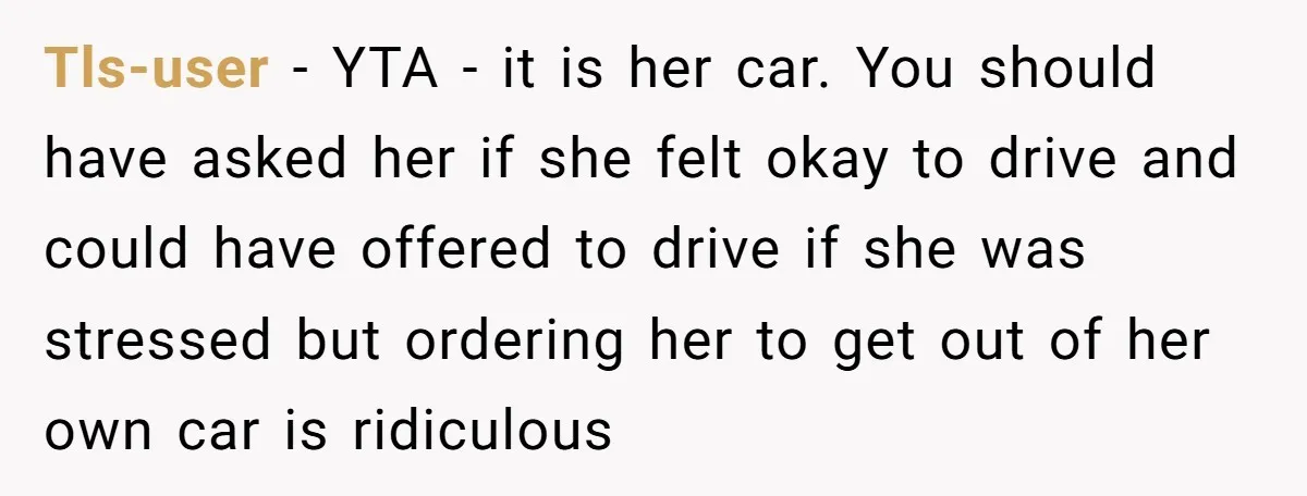 Tls-user − YTA - it is her car. You should have asked her if she felt okay to drive and could have offered to drive if she was stressed but...