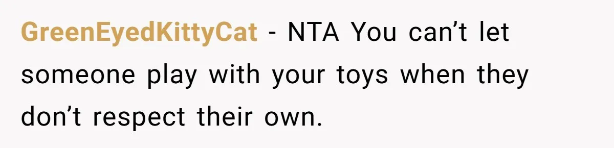 GreenEyedKittyCat − NTA You can’t let someone play with your toys when they don’t respect their own.