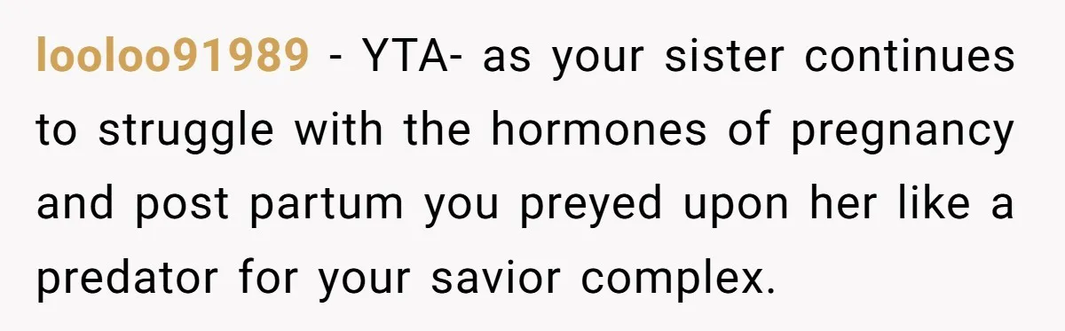 looloo91989 − YTA- as your sister continues to struggle with the hormones of pregnancy and post partum you preyed upon her like a predator for your savior complex.
