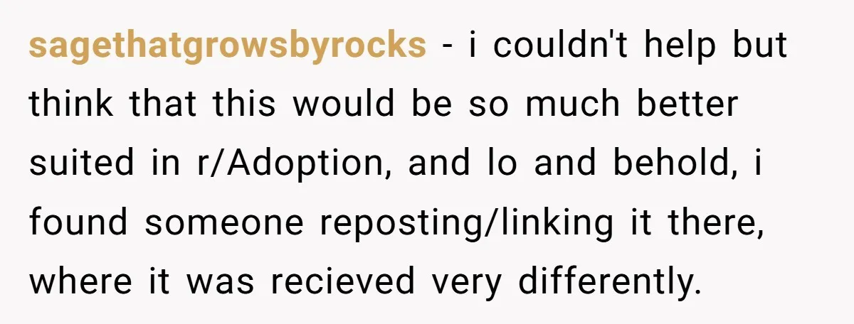 sagethatgrowsbyrocks − i couldn't help but think that this would be so much better suited in r/Adoption, and lo and behold, i found someone reposting/linking it there, where it was...