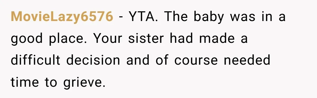 MovieLazy6576 − YTA. The baby was in a good place. Your sister had made a difficult decision and of course needed time to grieve.