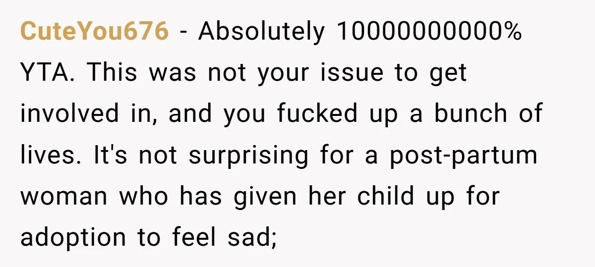 CuteYou676 − Absolutely 10000000000% YTA. This was not your issue to get involved in, and you fucked up a bunch of lives. It's not surprising for a post-partum woman who...