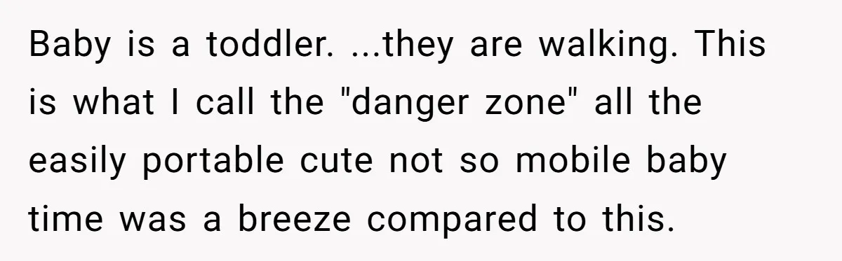 Baby is a toddler. ...they are walking. This is what I call the "danger zone" all the easily portable cute not so mobile baby time was a breeze compared to...