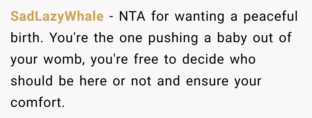 SadLazyWhale − NTA for wanting a peaceful birth. You're the one pushing a baby out of your womb, you're free to decide who should be here or not and ensure...
