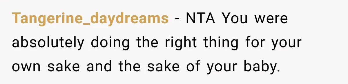 Tangerine_daydreams − NTA You were absolutely doing the right thing for your own sake and the sake of your baby.