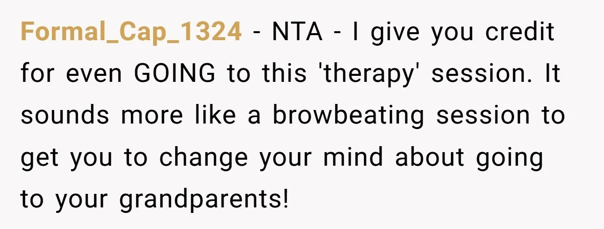Formal_Cap_1324 − NTA - I give you credit for even GOING to this 'therapy' session. It sounds more like a browbeating session to get you to change your mind about...