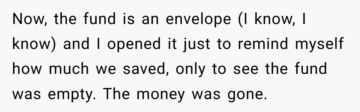 Now, the fund is an envelope (I know, I know) and I opened it just to remind myself how much we saved, only to see the fund was empty. The...