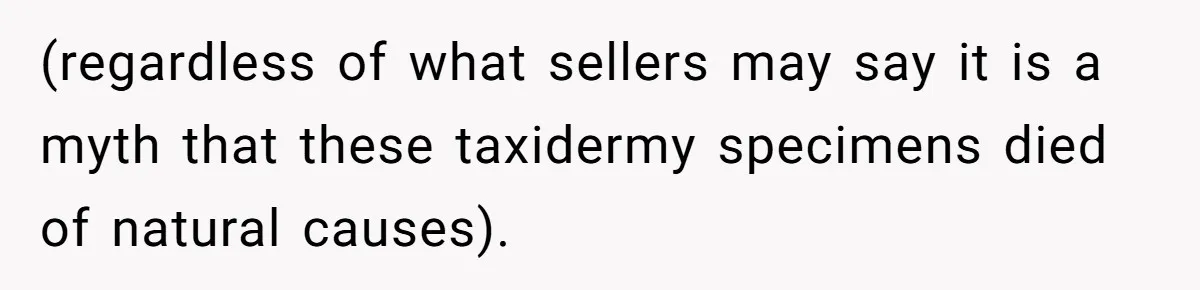 (regardless of what sellers may say it is a myth that these taxidermy specimens died of natural causes).