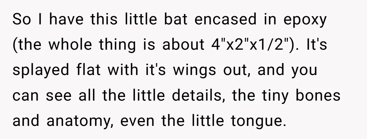 So I have this little bat encased in epoxy (the whole thing is about 4"x2"x1/2"). It's splayed flat with it's wings out, and you can see all the little details,...