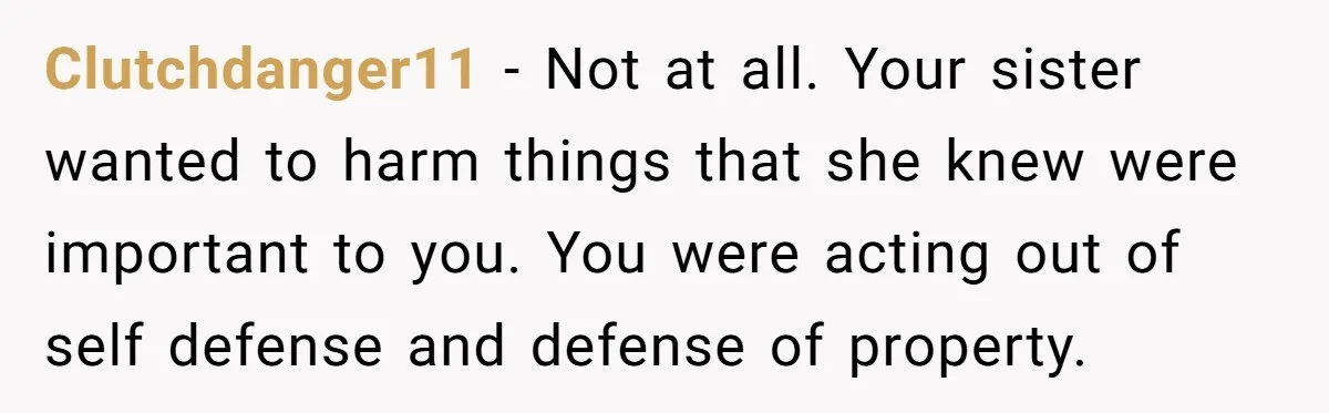 Clutchdanger11 − Not at all. Your sister wanted to harm things that she knew were important to you. You were acting out of self defense and defense of property.