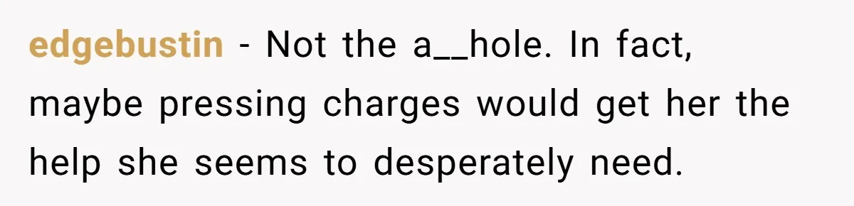 edgebustin − Not the a__hole. In fact, maybe pressing charges would get her the help she seems to desperately need.