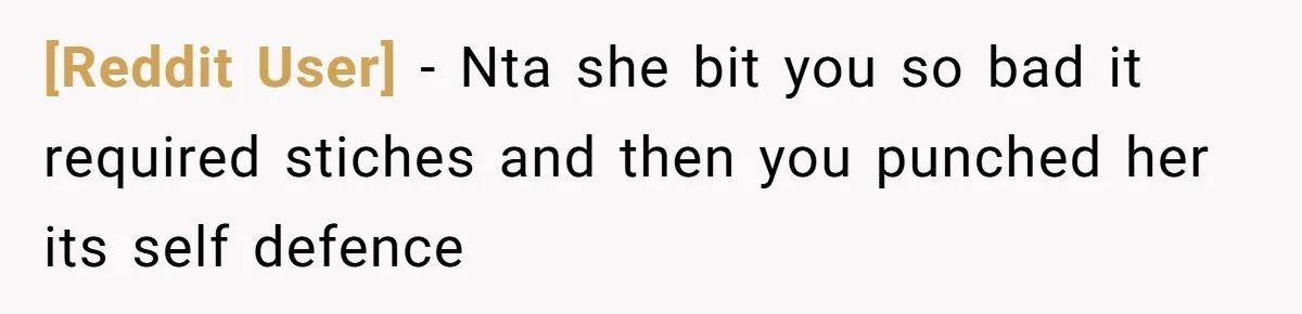 [Reddit User] − Nta she bit you so bad it required stiches and then you punched her its self defence