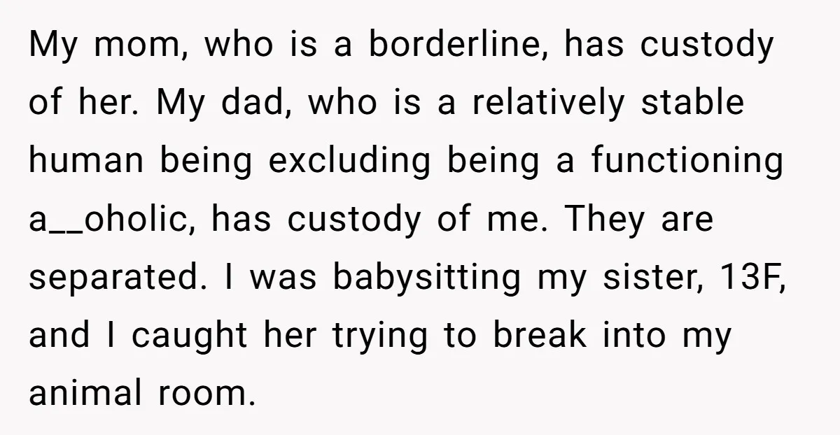 My mom, who is a borderline, has custody of her. My dad, who is a relatively stable human being excluding being a functioning a__oholic, has custody of me. They are...